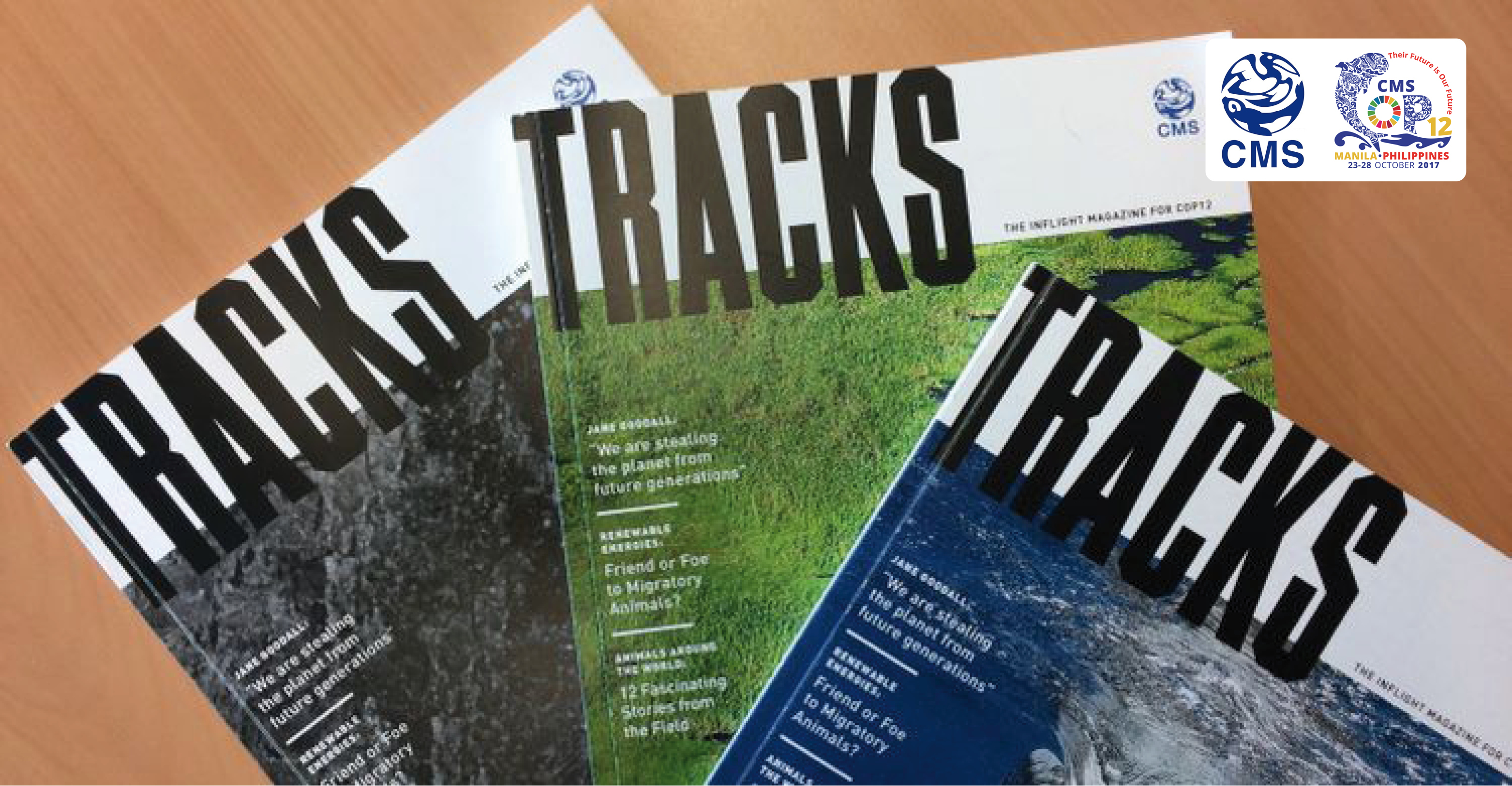 TRACKS – the Inflight Magazine for CMS COP12