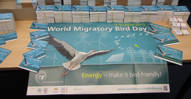 WMBD 2015 Information Materials 