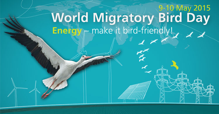 WMBD Poster 2015