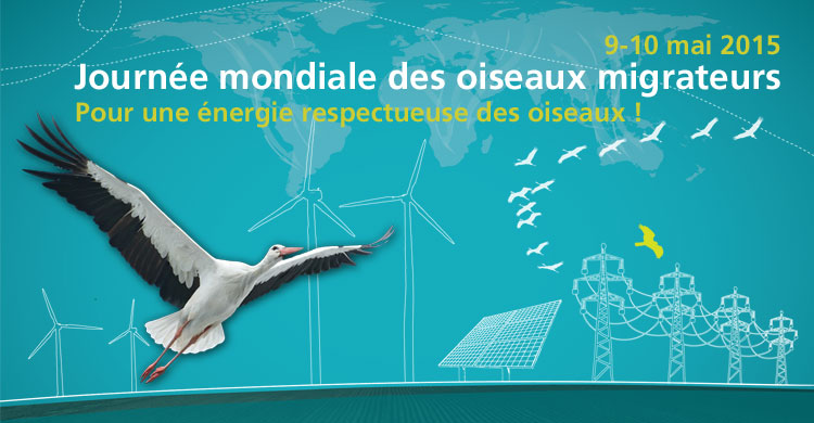 Fiche de la JMOM 2015
