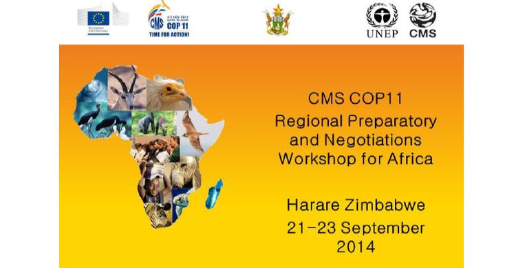 Zimbabwe pre-COP Workshop