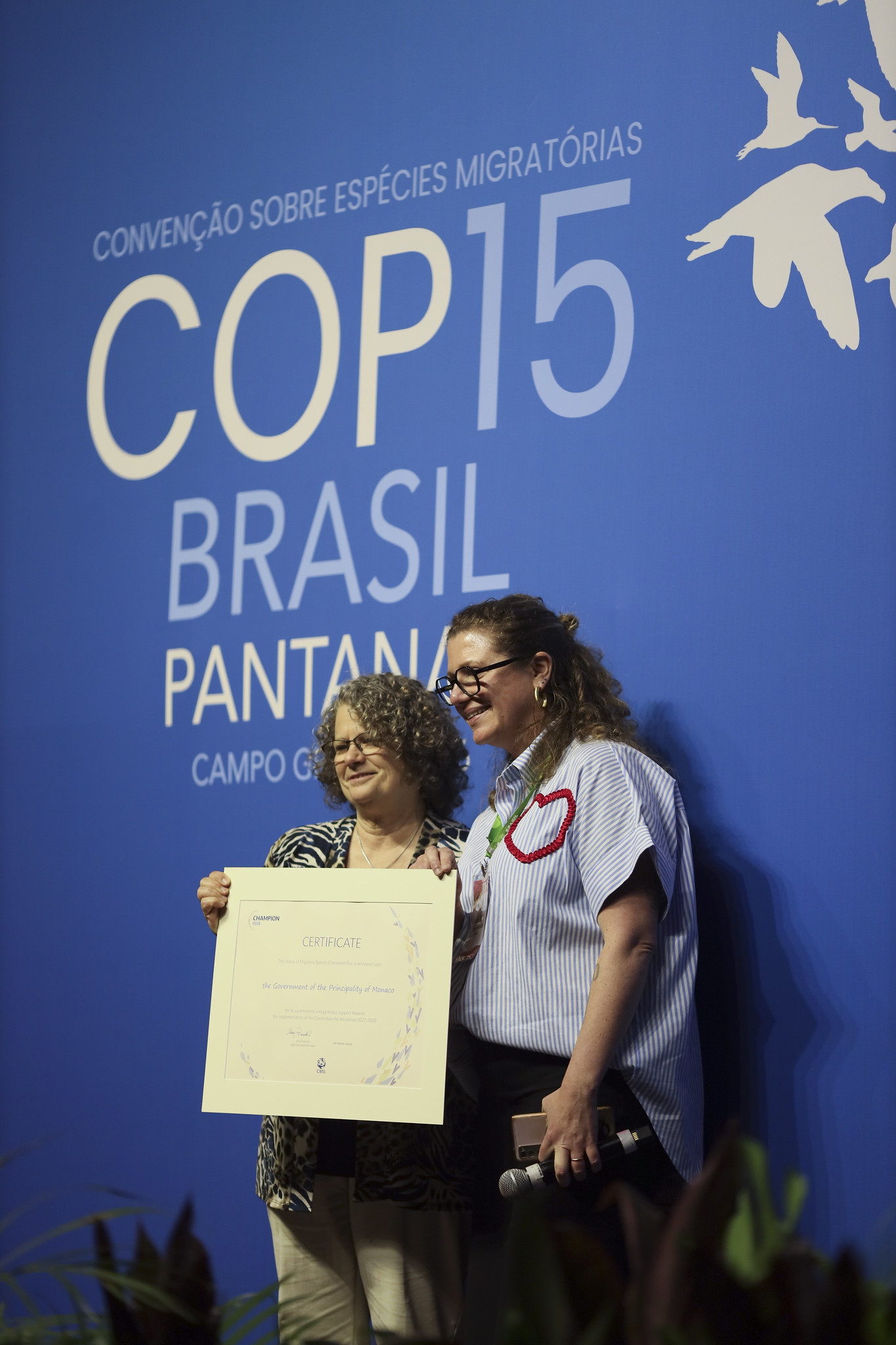 © Ministério do Meio Ambiente e Mudança do Clima
