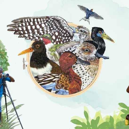  La ciencia comunitaria cobra protagonismo en el Día Mundial de las Aves Migratorias