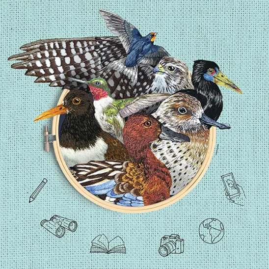 Every Bird Counts: World Migratory Bird Day 2026 Highlights How Every Observation Matters