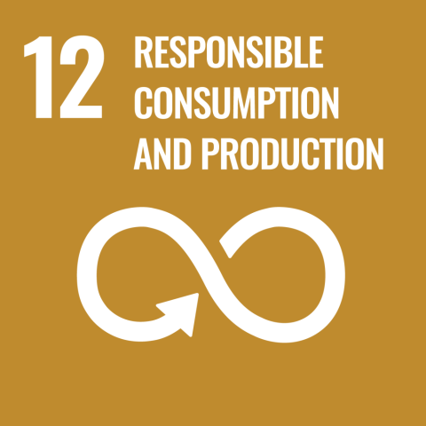egoal 13
