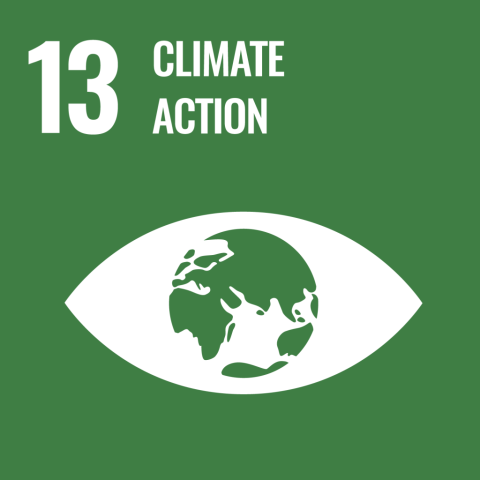 egoal 13