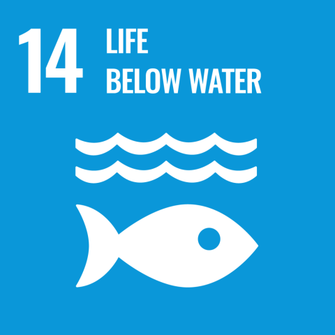 egoal 14