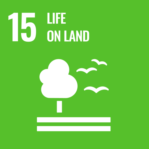 egoal 15
