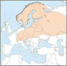 Distribution map of Eptesicus nilssonii