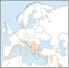 Distribution map of Myotis capaccinii