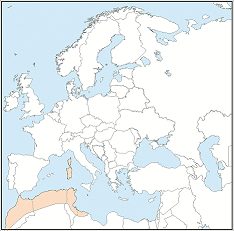 Distribution map of Myotis punicus