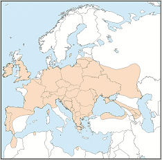 Distribution map of Nyctalus leisleri