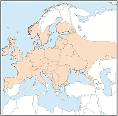 Distribution map of Plecotus auritus