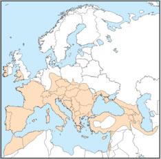 Rhinolophus hipposideros distribution map 
