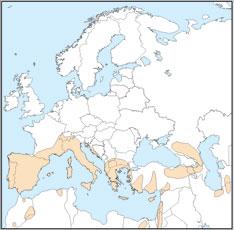 Distribution map of Tadarida teniotis