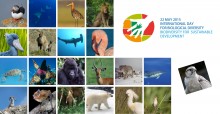 Atlantic Puffin © Nina Mikander; Pygmy Devil Rays © Guy Stevens, Manta Trust; Black-tailed Godwit © Ton van de Acker; African Lion © Luke Hunter; Shoebill © Jearu/Fotolia.com; Bactrian Camel © Petra Kaczensky; Scalloped Hammerhead Shark © Edoardo Espinoza; Lesser Flamingo © Mark Anderson; Green Turtle © Bthv; Monarch Butterfly © Allen Montgomery/USFWS; Mountain Gorilla © Ian Redmond; Impala; Snow Leopard © Snow Leopard Conservancy; Common Dolphin © Cherylle Millard-Dawe; Saker Falcon © Tony Hisgett; Argali 