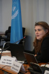 Ines Verleye, Chair of the CMS Strategic Plan Working Group (SPWG) during the fourth meeting of the SPWG in Bonn, Germany © Aydin Bahramlouian