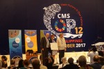 Recognition for Migratory Species Champions © Aydin Bahramlouian