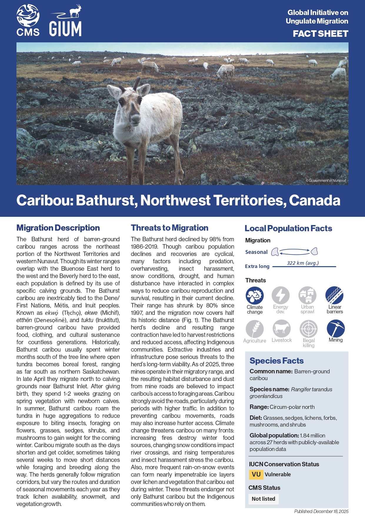 Fact Sheet on Caribou in Bathurst, Canada