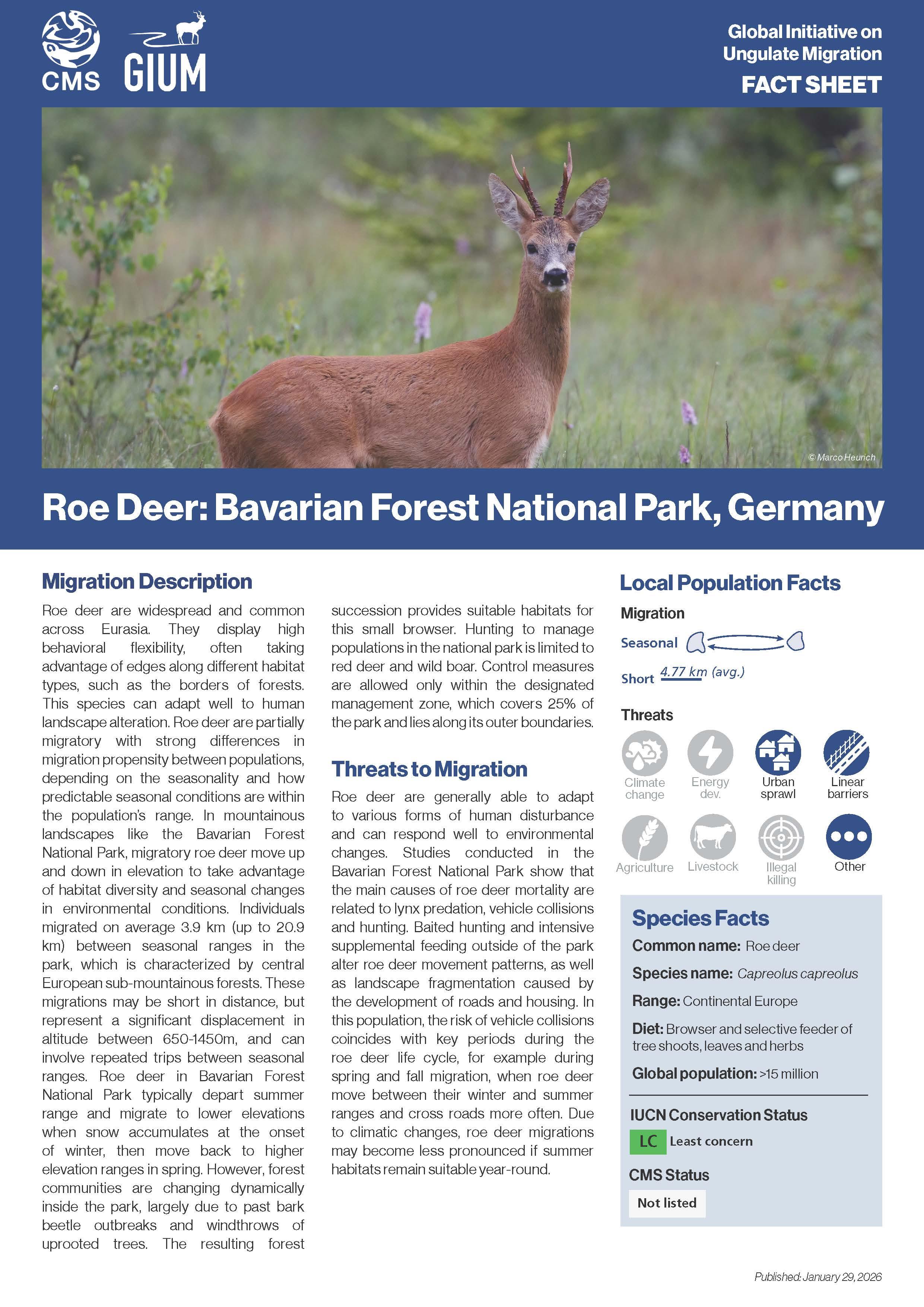 Fact Sheet on Roe Deer Migration 