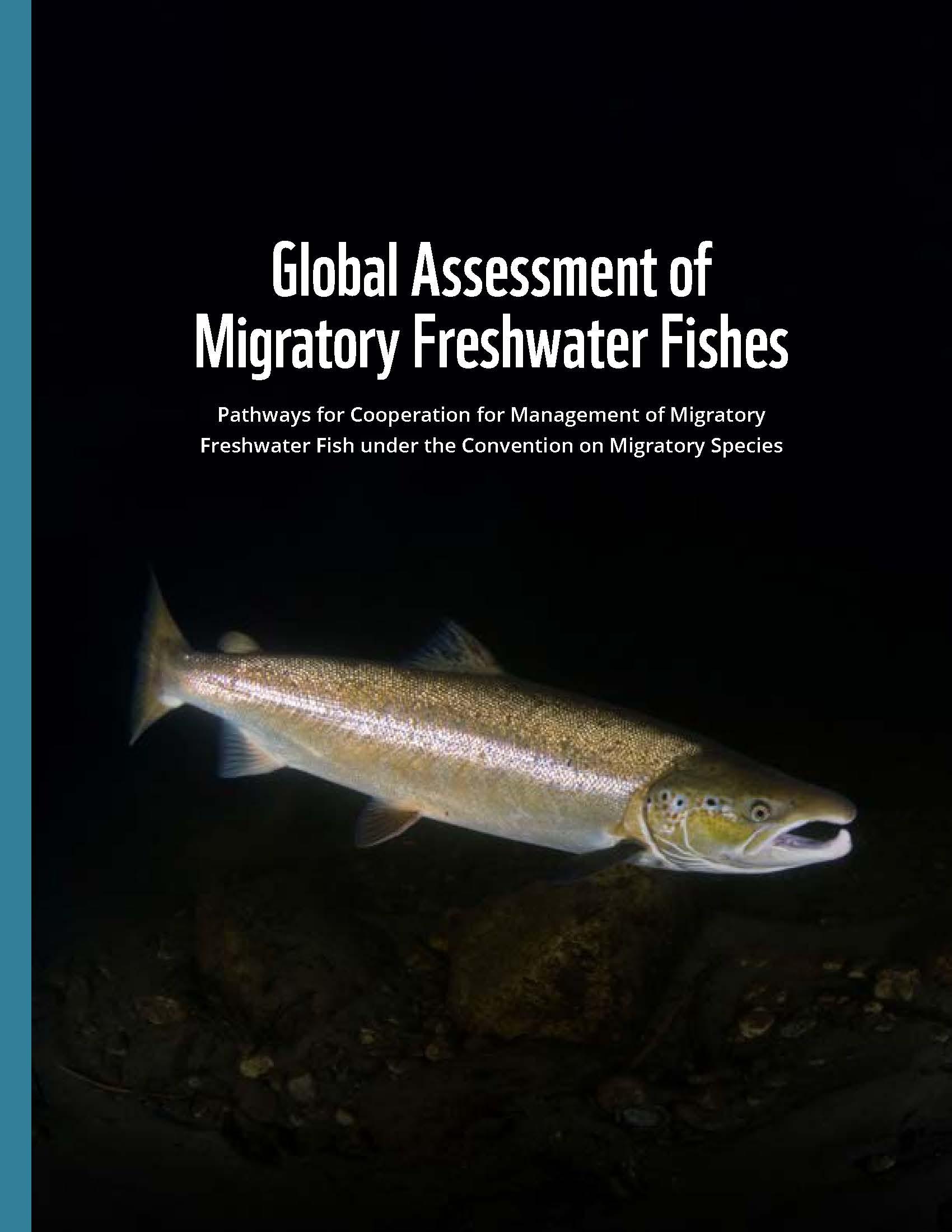 migratory freshwater fish assessment cover