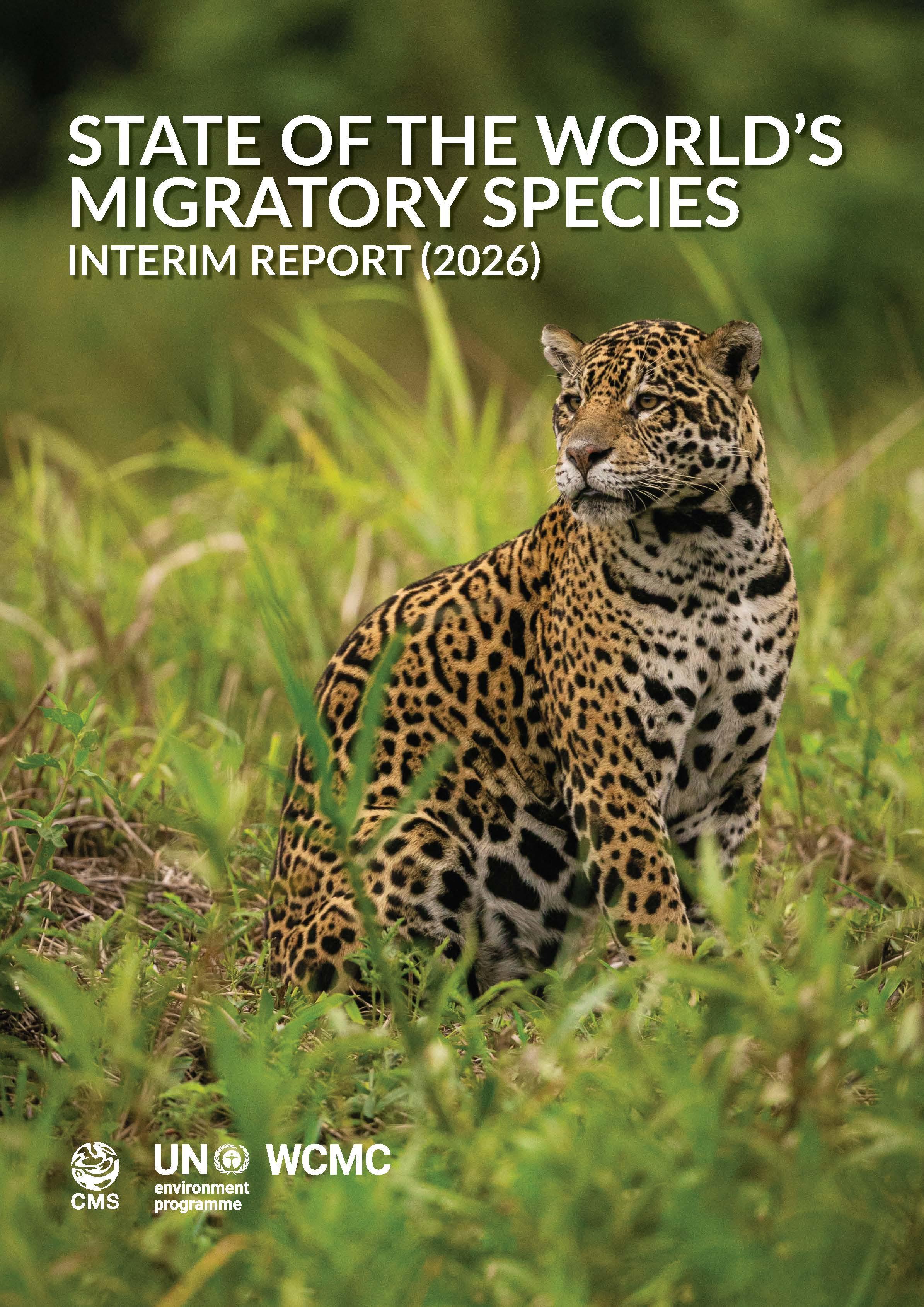Interim SWMS report cover