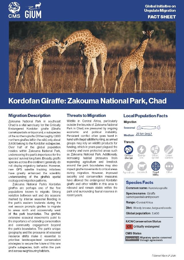 Giraffe Fact Sheet