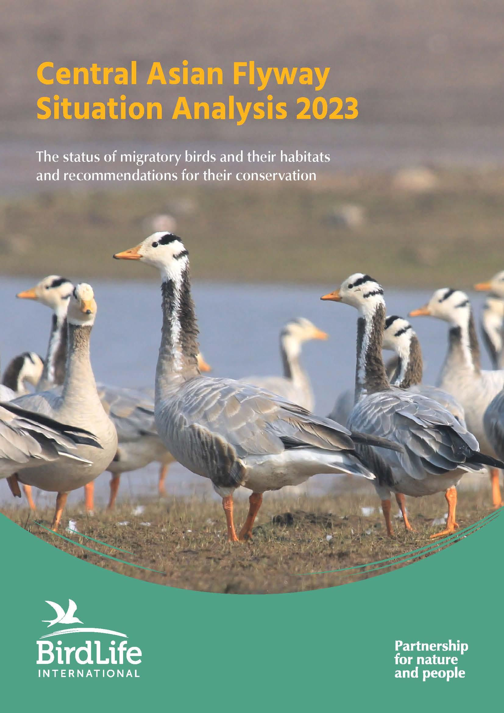 cover of Central Asian Flyway Situation Analysis 2023