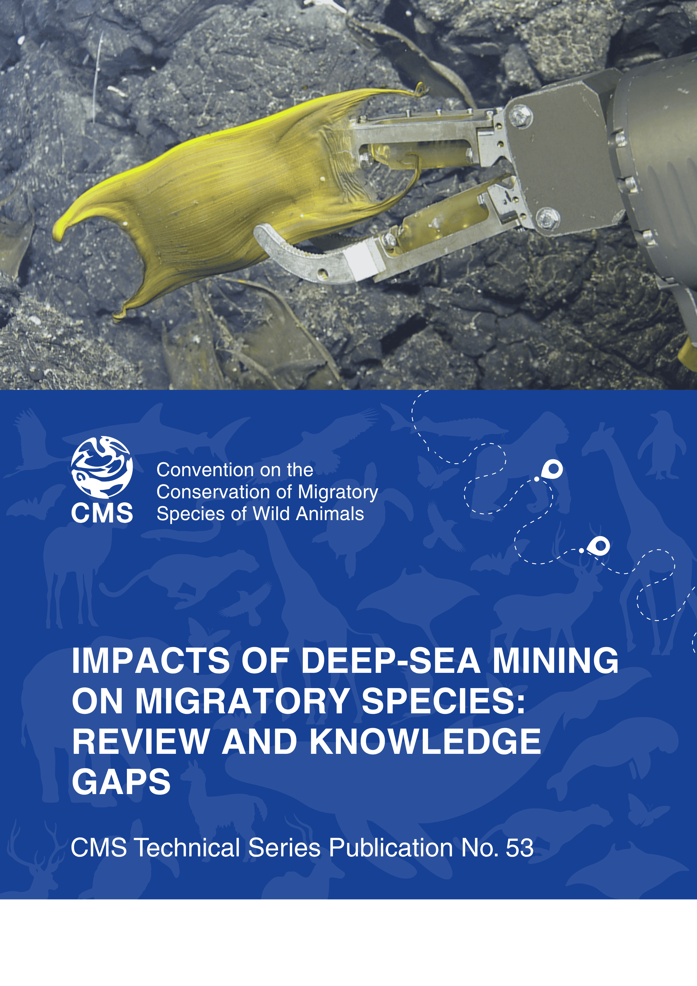 Deep-sea Mining report cover