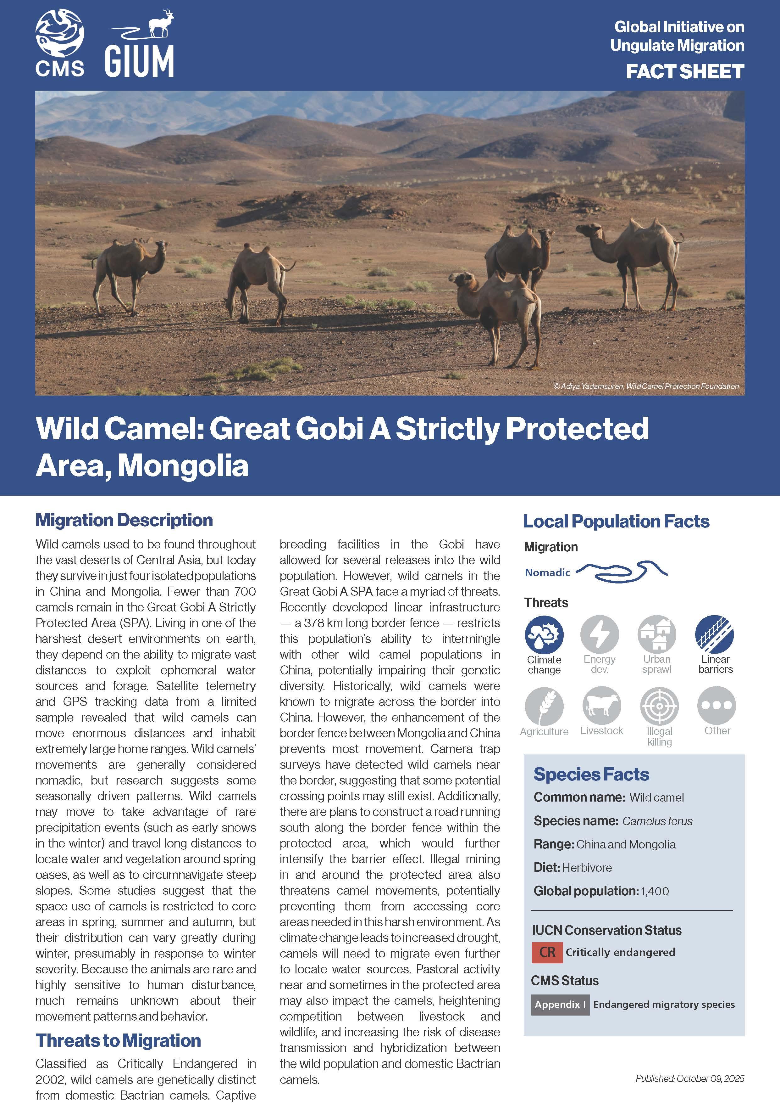 Wild Camel Migration Fact Sheet 