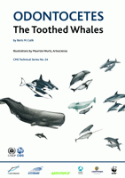 Odontocetes - The Toothed Whales