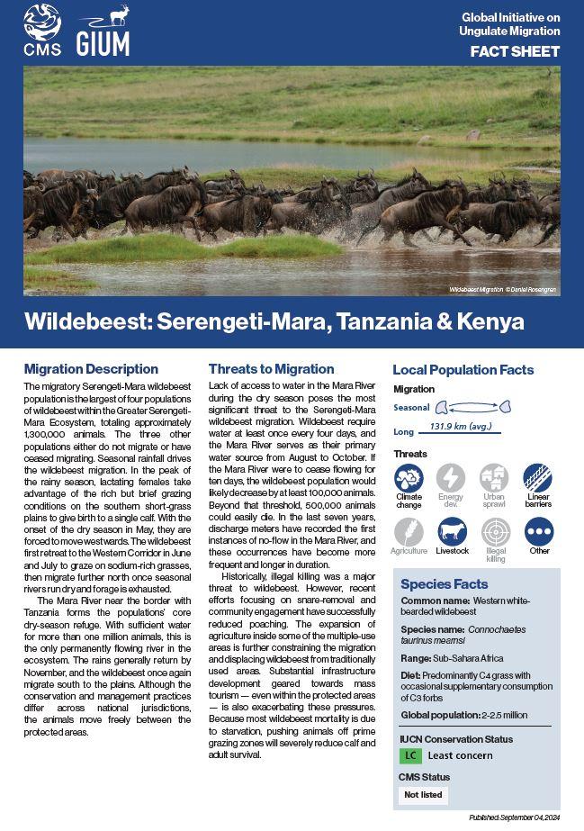 Fact Sheet Wildebeest Migration
