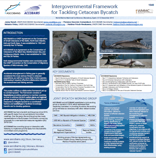 Intergovernmental Framework to Tackling Cetacean Bycatch