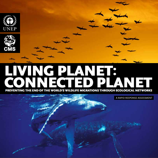Living Planet: Connected Planet - Preventing the End of the World´s Wildlife Migrations through Ecological Networks