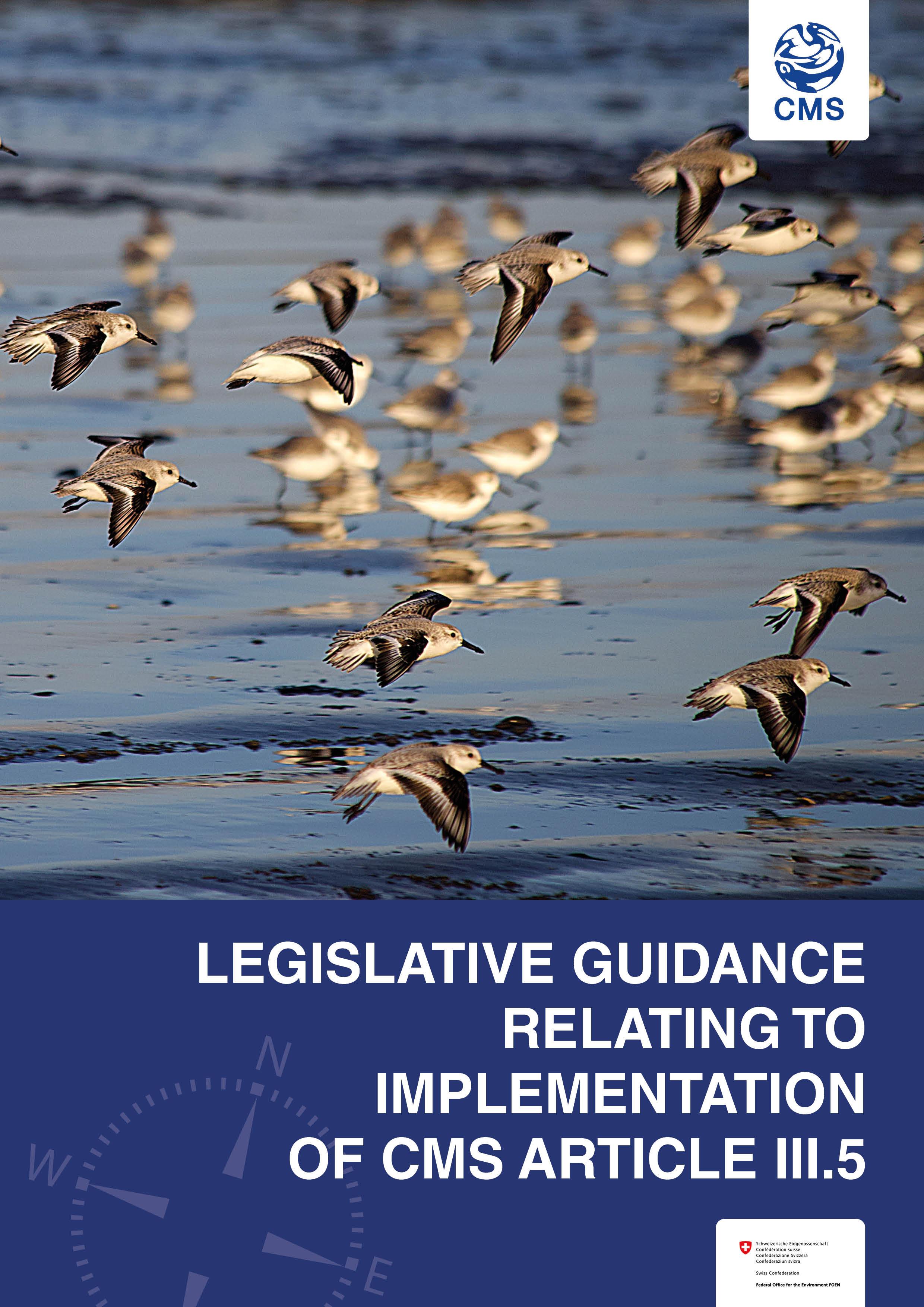 cover Legislative Guidance Relating to Implementation of CMS Article III.5