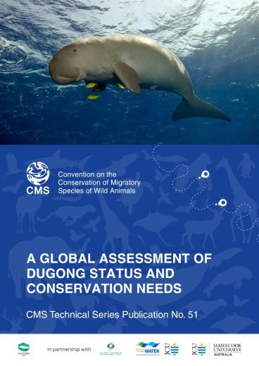 Dugong Report Cover