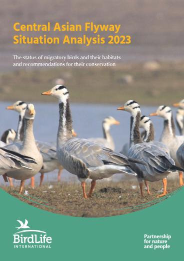 cover of Central Asian Flyway Situation Analysis 2023