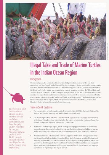 iosea factsheet turtle illegal trade