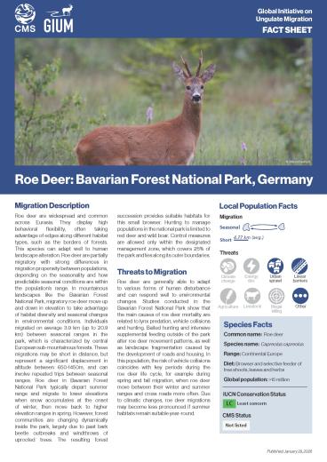 Fact Sheet on Roe Deer Migration 
