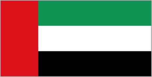 The flag of the United Arab Emirates