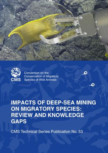 Deep Sea Mining Report Cover 