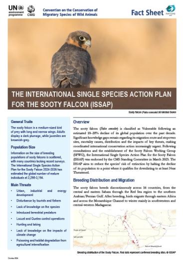 Fact Sheet on the Sooty Falcon Action Plan