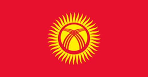 the flag of Kyrgyzstan