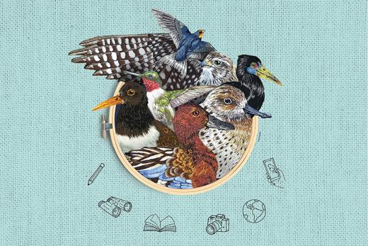 World Migratory Bird Day 2026 Global Poster (Artwork by Luísa Lacerda)