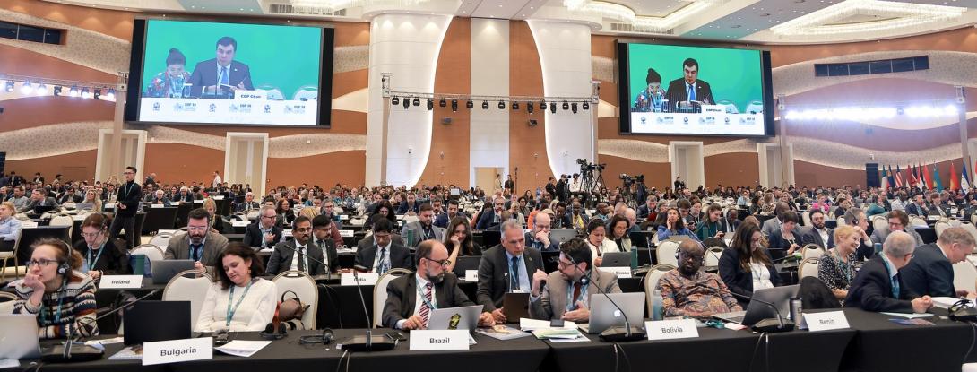 CMS COP14 Plenary view