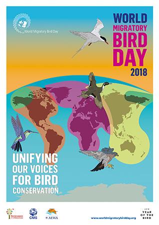 Media Name: ENG-WMBD2018-DINA1-[FOR WEB]_sm.jpg