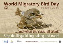 Media Name: wmbd_poster_2016_english_sm.jpg