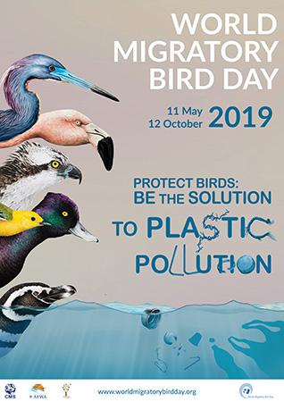 Media Name: wmbd_poster_2019_EN_sm.jpg