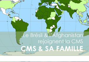 CMS montly banner