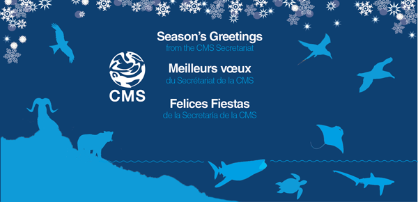 CMS montly banner